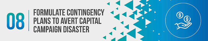 Capital Campaign Organizational Chart