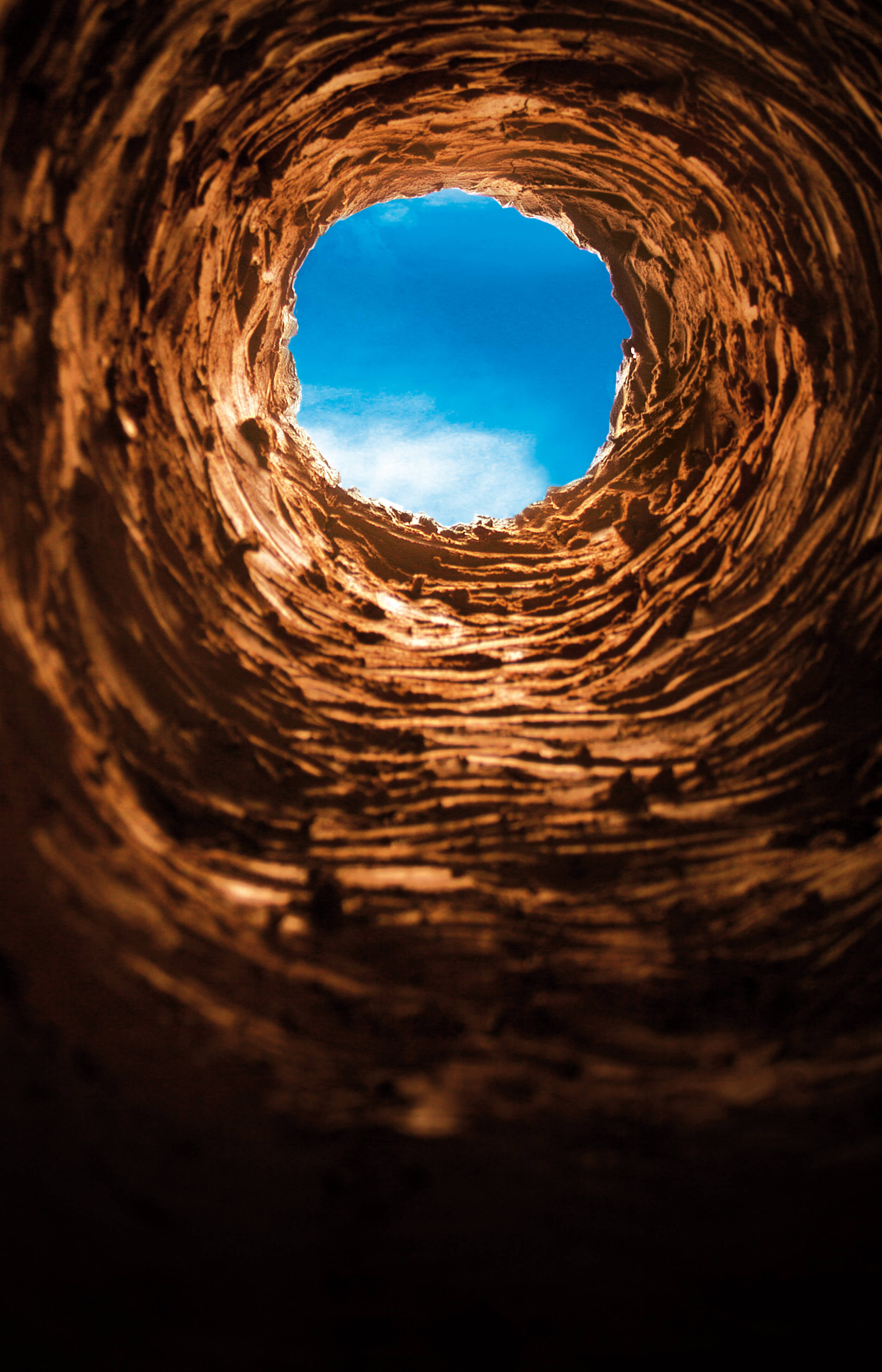 Guest Post] Avoid the Rabbit Hole! When to Stop Searching | DonorSearch
