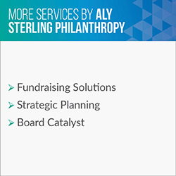 Consider these additional services Aly Sterling Philanthropy provides in addition to executive search.