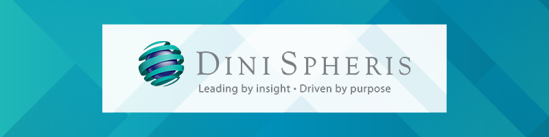 Dini Spheris is one of our favorite nonprofit consulting firms.