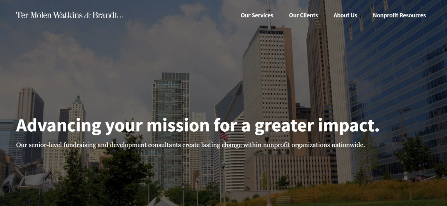 Nonprofit Consulting Firms | What to Know + Our 26 Favorites - Dubai