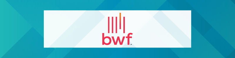 BWF is an experienced nonprofit consulting firm for organizations looking to improve all aspects of fundraising.