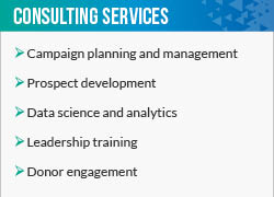 BWF offers these fundraising consulting services, such as campaign planning and prospect development. 